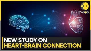 New Study Reveals Surprising Link Between The Heart And Brain | WION News