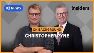Regulating AI is like catching smoke, warns Christopher Pyne | Insiders On Background