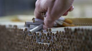 Organised crime thriving in the face of the tobacco excise