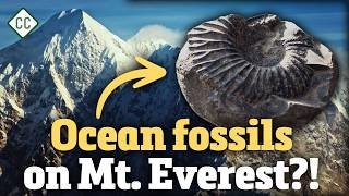 How Do Mountains Form?: Crash Course Geology #11