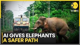 Tamil Nadu Turns Tech Into Wildlife Safety | WION