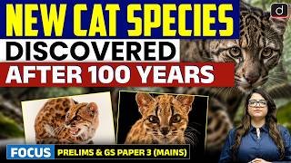 Scientists Discover A New Cat Species | Leopardus tilcayo Explained | UPSC | Drishti IAS English