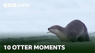 10 Incredible Otter Moments | BBC Earth