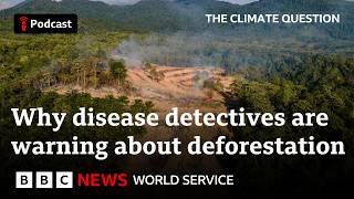 Is climate change fuelling diseases like Ebola? The Climate Question podcast - BBC World Service