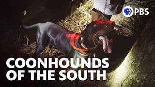 This Southern Tradition is All About the Dogs | Short Documentary