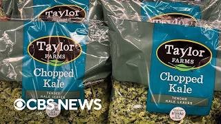 What to know about the cyclosporiasis outbreak as Taylor Farms pulls iceberg lettuce