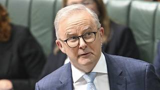 Labor urged to address migration and supply as rental crisis 'just beginning'