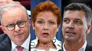 One Nation urged to ‘go after’ Labor seats instead of the Coalition