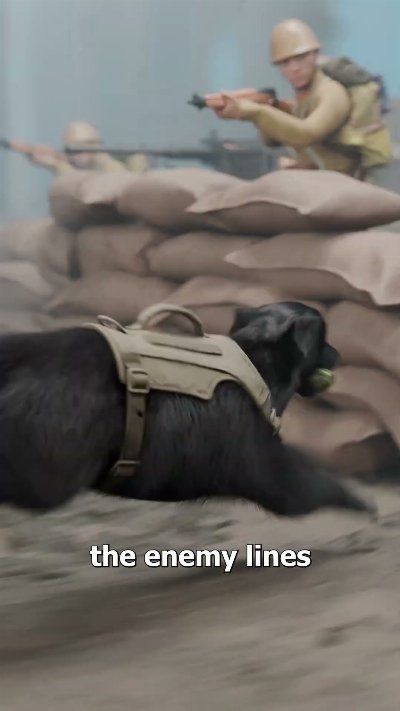 The Dog Who Saved Seven Soldiers 😢