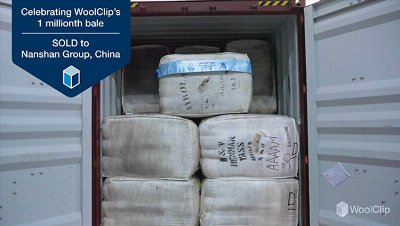 Woolclip celebrates selling its one millionth bale