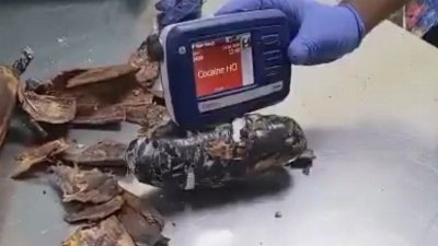 Grandmother arrested over £1m cocaine hidden in plantain peels on London-bound flight