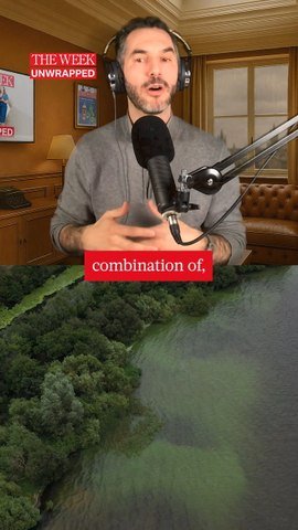 How Climate Change Fuels Toxic Algae Blooms