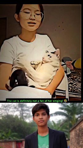 1000184261 cat video 😁