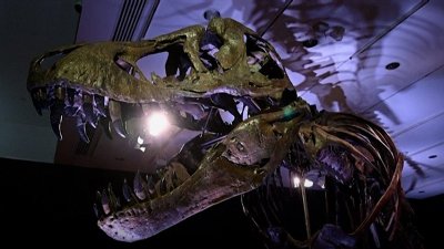 Dinosaur Fossils Become Wealth Market's New Trophy Asset