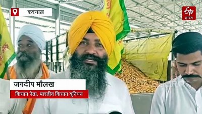 करनाल में मक्का खरीद से इनकार पर किसानों का फूटा गुस्सा, 4500 रुपये क्विंटल का वादा, अब खरीद से किया मना, अन्नदाताओं ने की FIR की मांग