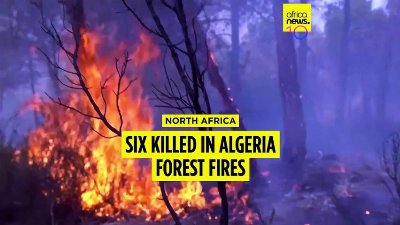 Six killed in Algeria forest fires: interior ministry