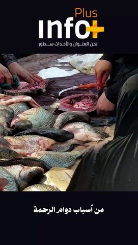 نعمة العراق الدائمة