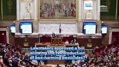 Latest news bulletin | July 23rd, 2026 – Morning
