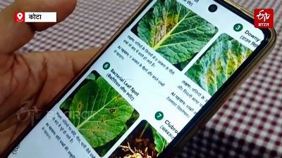 IIIT कोटा के फेकल्टी का कमाल: किसानों के लिए बनाया AI ऐप, बिना इंटरनेट के भी बताएगा फसलों की बीमारी और इलाज
