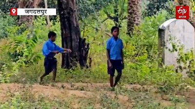 बस्तर में शिक्षा विभाग का कार्यप्रणाली पर सवाल, 485 बच्चों को मिली गलत मार्कशीट, कलेक्टर ने जारी किया नोटिस
