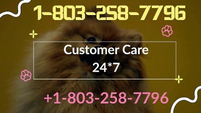 ♧{FAQs}}™ {[List]} ➤➤ Kraken® Official HELP DESK© SUPPORT PHONE® Contact Numbers ➤➤ (24/7) Live Person CaRe
