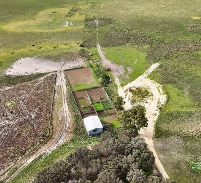 The productive grazing property Folly Farm went to auction.