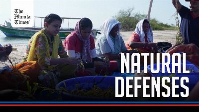 India turns to corals and seagrass to shield against rising sea levels