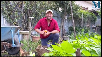 Brian and Lisa Welling’s prepare to open their garden for the 2026 Illawarra Edible Garden Trail