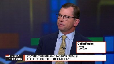 Everyone Is Surprised Deal Volume Hasn't Picked Up: Roche