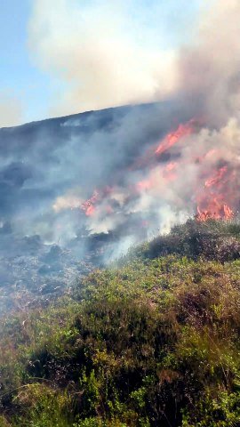 Cairngorm Wildfire update