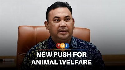 Govt considering special fund, tax incentives for animal welfare NGOs