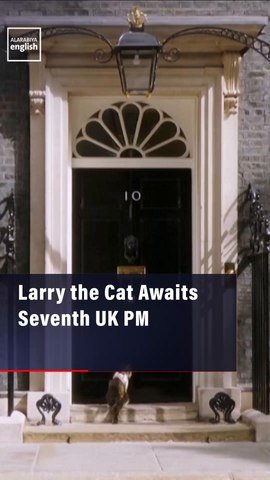 Larry the Cat Awaits Seventh UK PM