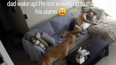 Dog Howls Loudly After Man Sleeps Through Alarm