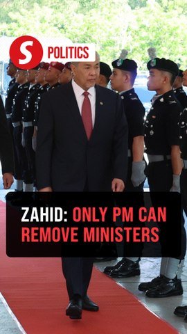 Removal from Cabinet posts is purely PM's prerogative, says Zahid