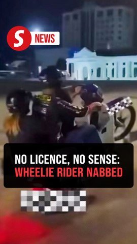 Wheelie with wife and child on board - rider arrested