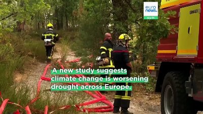 ‘Scorching, dry summers’: Heat rather than lack of rain is now to blame for Europe’s droughts