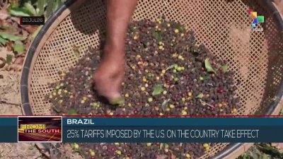 Brazil | 25% tariffs imposed by U.S. take effect