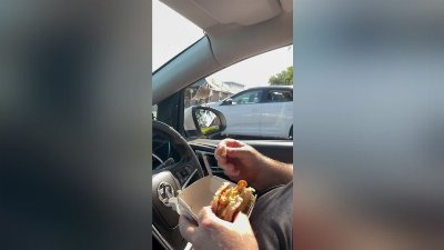 Cheeky Birds Take Turns Collecting Mcdonalds From Car Window