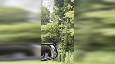 Helicopter Uses Giant Aerial Saw to Trim Trees Along Power Lines