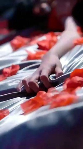 [Doblado]Traición y Renacimiento: La Venganza del Amor | Full 82 Eps SD Drama | Short Drama Español | NITRO REALMS [Full Movie]