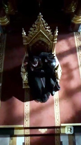Crowned in His Claws - Full EP丨New Movie ✅ [Full Movie]