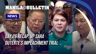 VP Sara Trial Day 26: Impeachment court hears from amici curiae on conviction vote threshold