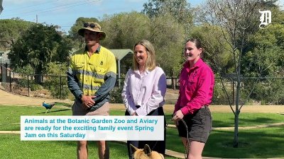 Preparation for Spring Jam at Wagga Botanic Garden