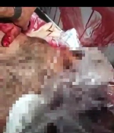 Il video girato a bordo del volo FlyDubai atterrato in Arabia